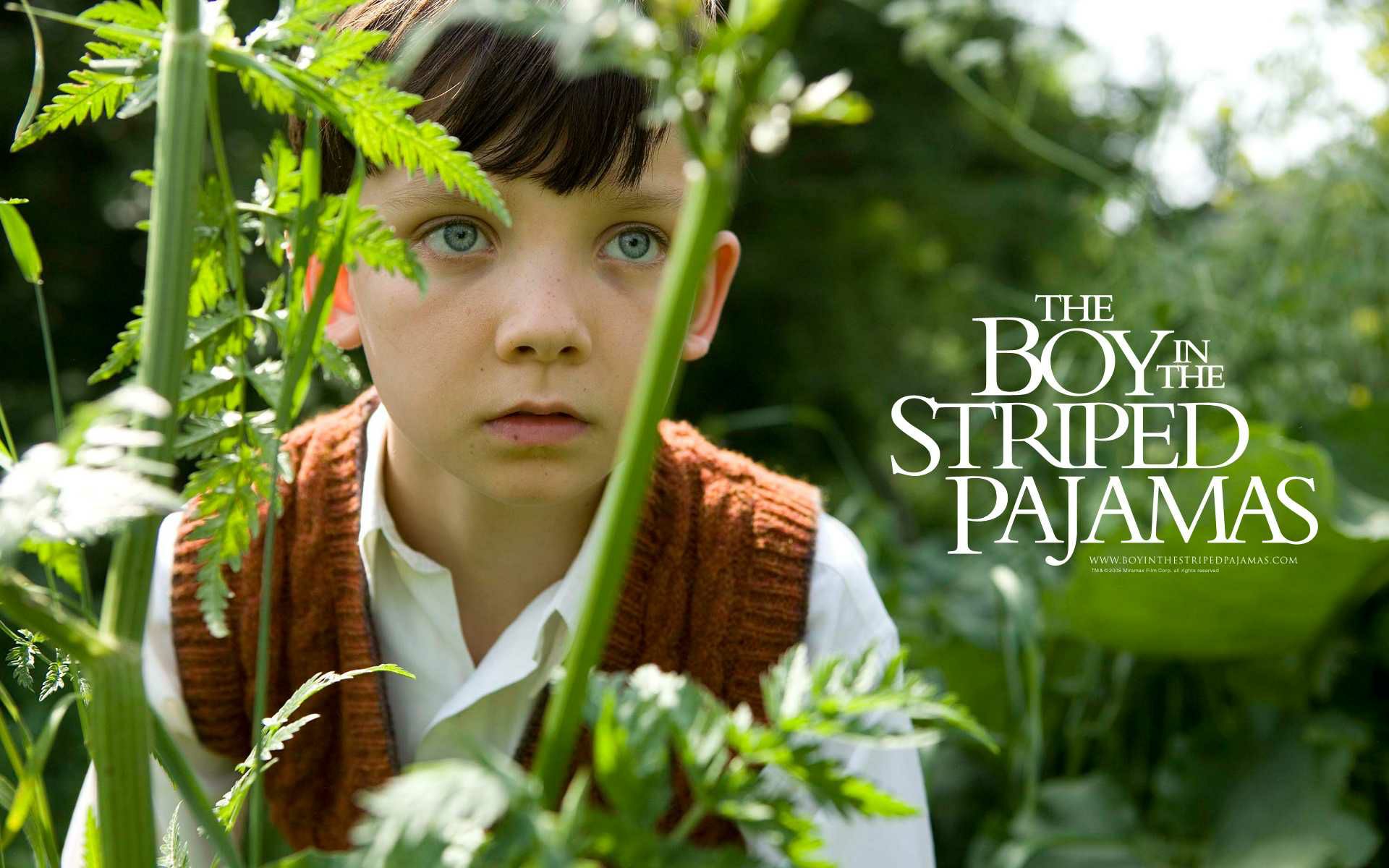 The Boy in the Striped Pyjamas (2008) Historical Simplification: When Fiction Blurs the Harsh Reality